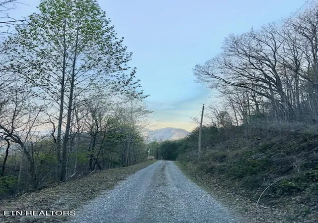 48th image of 5987 Hopi Tr, Del Rio, TN 37727 | MLS# 1337963