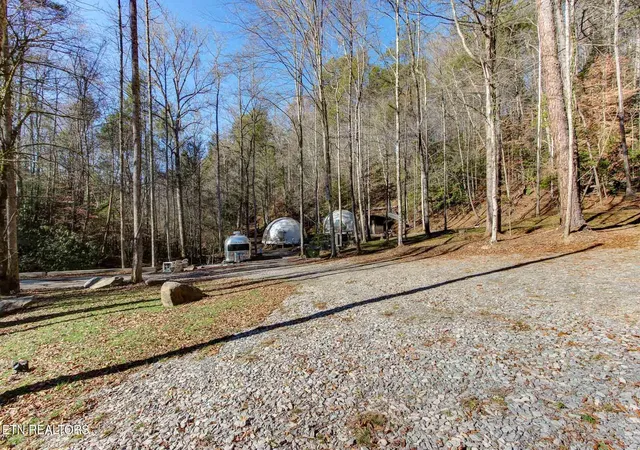 5th image of 910 Windy Hill Wy, Cosby, TN 37722 | MLS# 1337897
