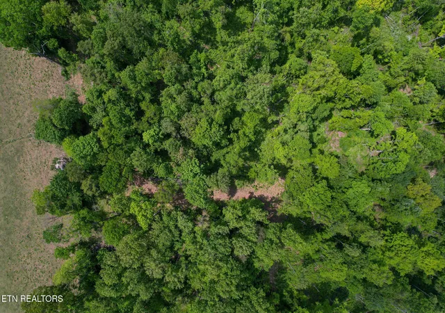 Photo 3 of Land for sale at Cvs Point Rd, La Follette, TN 37766 | MLS# 1338671 | Listing updated on 2026-08-21