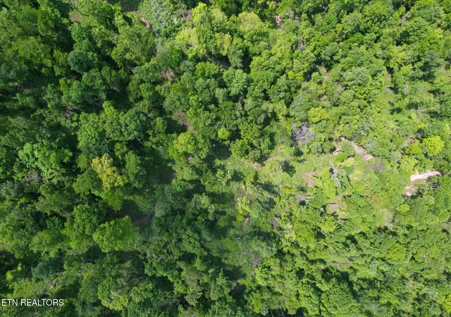 Photo 3 of Land for sale at Cvs Point Rd, La Follette, TN 37766 | MLS# 1338671 | Listing updated on 2026-08-21