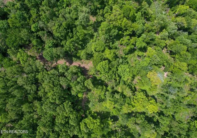 Photo 4 of Land for sale at Cvs Point Rd, La Follette, TN 37766 | MLS# 1338671 | Listing updated on 2026-08-21