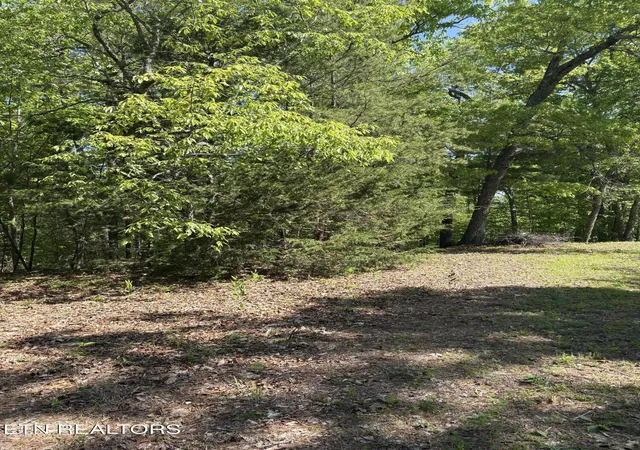 1st image of 261 Mountain Retreat Rd, Townsend, TN 37882 | MLS# 1337998