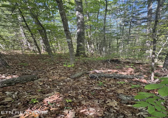 23rd image of 261 Mountain Retreat Rd, Townsend, TN 37882 | MLS# 1337998