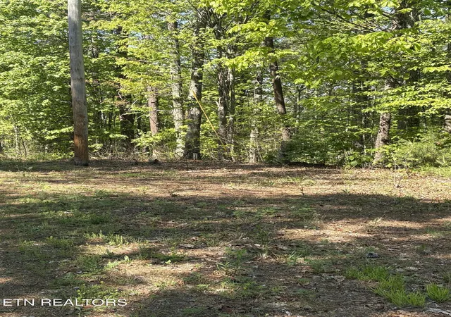 2nd image of 261 Mountain Retreat Rd, Townsend, TN 37882 | MLS# 1337998