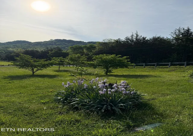 5th image of 912 Raccoon Valley Rd, Maynardville, TN 37807 | MLS# 1338575