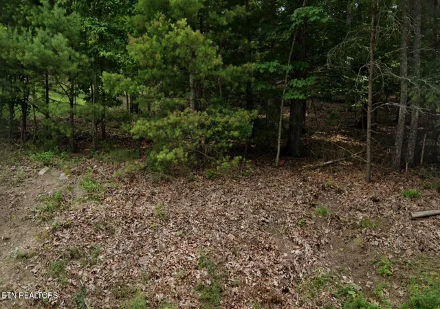Homes for sale in Fairfield Glade, TN | 36 Markham Ter, Fairfield Glade, TN 38558 | MLS# 1338185