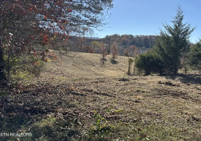 3rd image of 4r1 Dickey School Rd, Dandridge, TN 37725 | MLS# 1338190