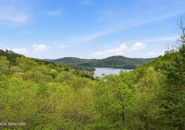 Homes for sale in Sharps Chapel, TN | 699 Lakeview Dr, Sharps Chapel, TN 37866 | MLS# 1338451
