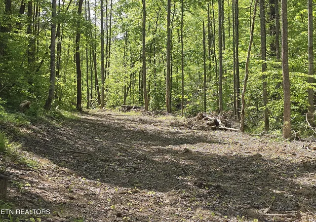 2nd image of Tbd S Hwy 25e Hwy, Tazewell, TN 37879 | MLS# 1338361