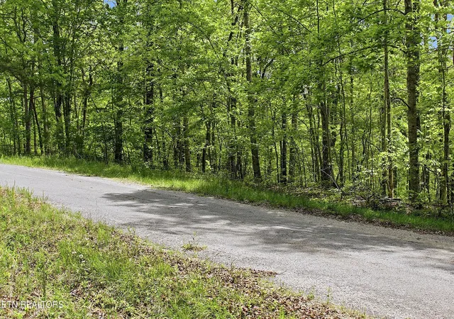 Photo 2 of Land for sale at 0 T Rd, Monterey, TN 38574 | MLS# 1338412 | Listing updated on 2026-09-21