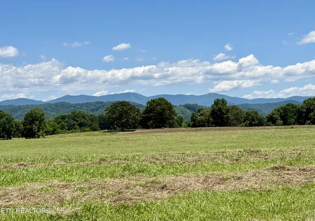 2nd image of 880 & 890 Fairview Rd, Tellico Plains, TN 37385 | MLS# 1338442