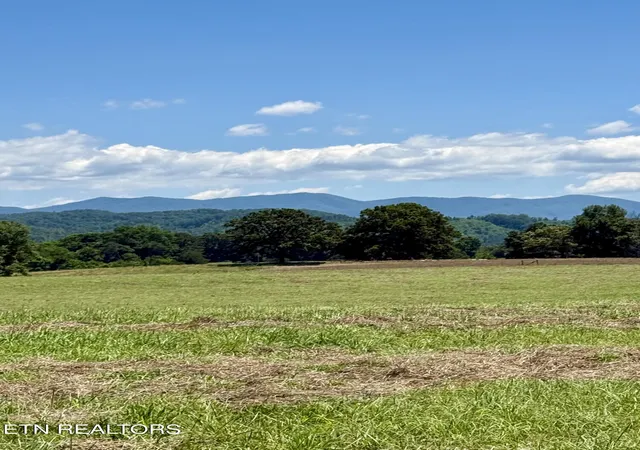 4th image of 880 & 890 Fairview Rd, Tellico Plains, TN 37385 | MLS# 1338442
