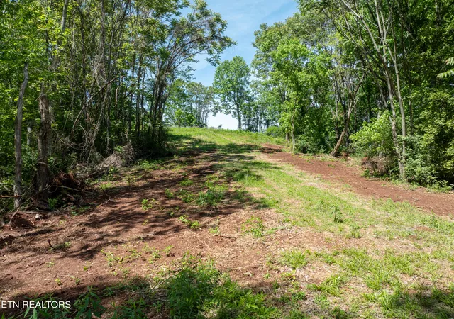 1st image of 13389 Meadow Rd, Lenoir City, TN 37772 | MLS# 1339130