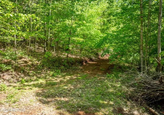 Photo 3 of Land for sale at 13389 Meadow Rd, Lenoir City, TN 37772 | MLS# 1339130 | Listing updated on 2026-05-01