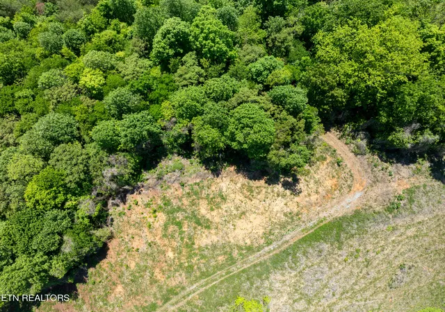 Photo 4 of Land for sale at 13389 Meadow Rd, Lenoir City, TN 37772 | MLS# 1339130 | Listing updated on 2026-05-01