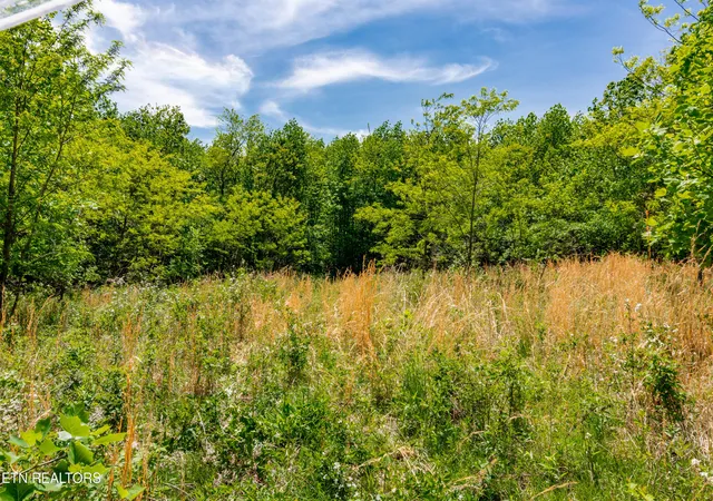 5th image of 1867 Big Ridge Rd, Spring City, TN 37381 | MLS# 1339195