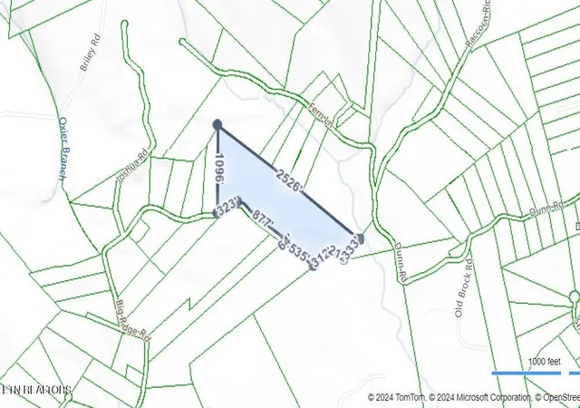 42nd image of 1867 Big Ridge Rd, Spring City, TN 37381 | MLS# 1339195
