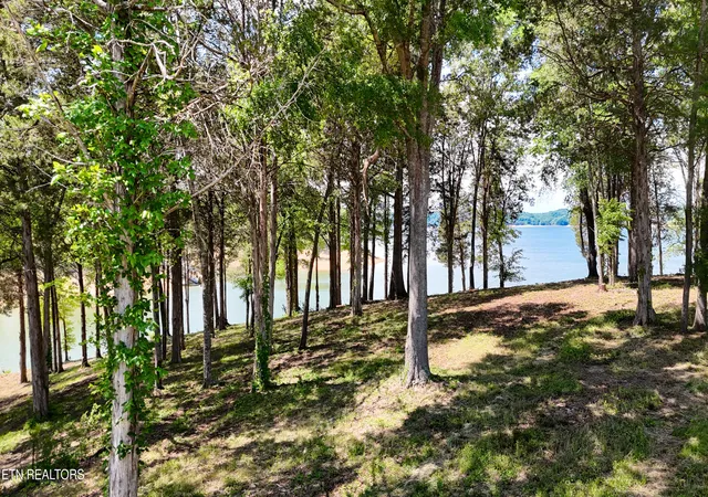 Photo 3 of Land for sale at Lot 123 Ridge Point Tr, Dandridge, TN 37725 | MLS# 1342709 | Listing updated on 2026-10-09