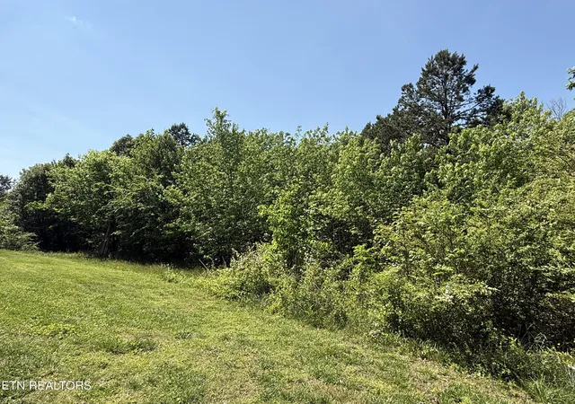 Homes for sale in Loudon, TN | 2535 Steekee School Rd, Loudon, TN 37774 | MLS# 1338840