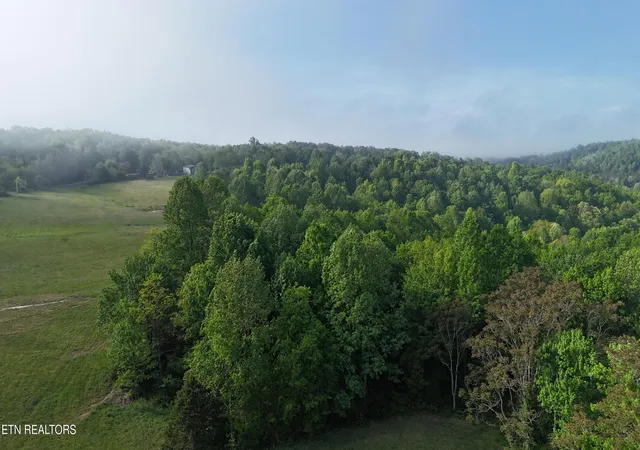 Homes for sale in Crawford, TN | Murphy Rd, Crawford, TN 38554 | MLS# 1339013