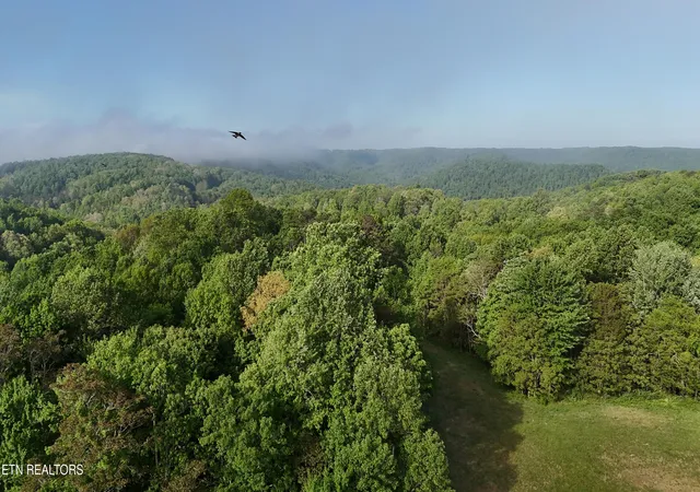 Homes for sale in Crawford, TN | Murphy Rd, Crawford, TN 38554 | MLS# 1339013