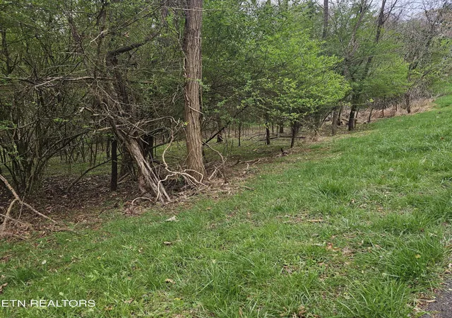 Homes for sale in Mooresburg, TN | 1919 Chelaque Wy, Mooresburg, TN 37811 | MLS# 1338615