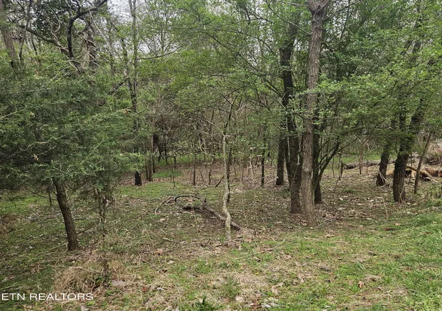 Homes for sale in Mooresburg, TN | 1919 Chelaque Wy, Mooresburg, TN 37811 | MLS# 1338615