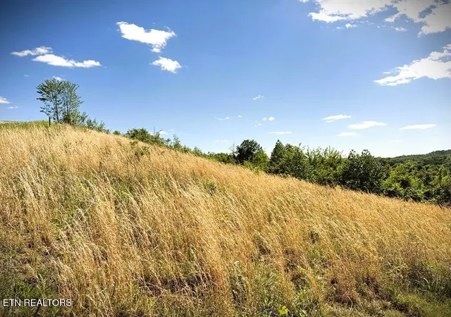 Photo 2 of Land for sale at 100c Mallard Ln, Hilham, TN 38568 | MLS# 1338602 | Listing updated on 2026-04-28