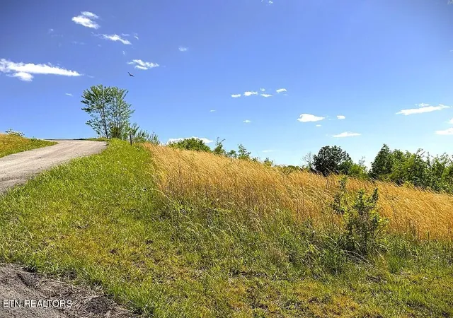 Photo 4 of Land for sale at 100c Mallard Ln, Hilham, TN 38568 | MLS# 1338602 | Listing updated on 2026-04-28