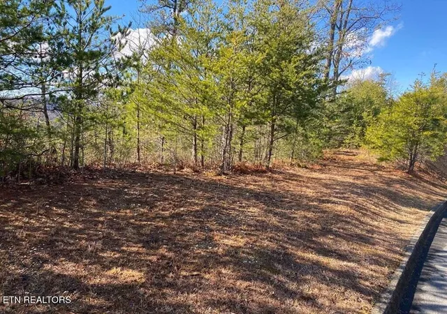 Photo 3 of Land for sale at 1824 Pinestand Ridge Way, Sevierville, TN 37862 | MLS# 1338632 | Listing updated on 2026-04-28