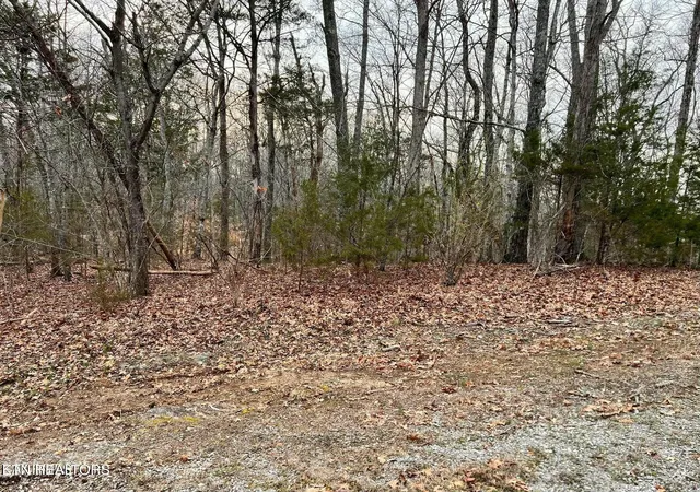 1st image of 100 Odali Ln, Loudon, TN 37774 | MLS# 1338666