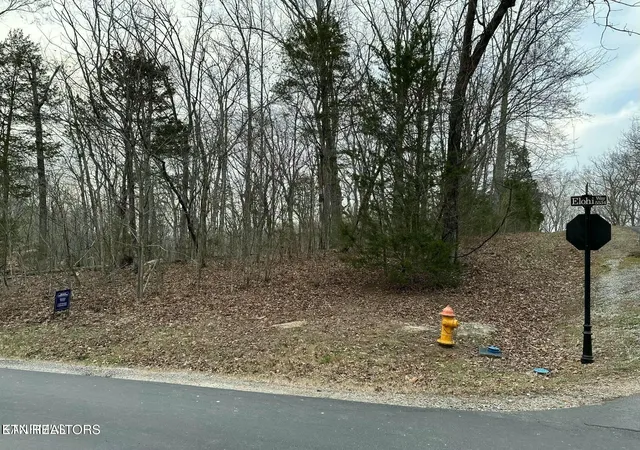 4th image of 100 Odali Ln, Loudon, TN 37774 | MLS# 1338666