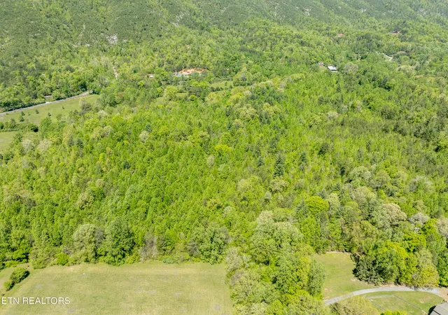 4th image of 540 E Millers Cove Rd, Walland, TN 37886 | MLS# 1339369