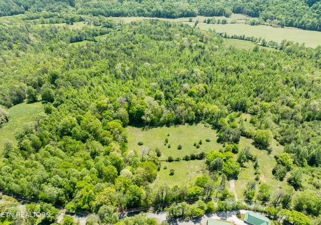 11th image of 604 E Millers Cove Rd, Walland, TN 37886 | MLS# 1339370