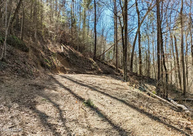 Photo 2 of Land for sale at Carrs Crk Rd, Townsend, TN 37882 | MLS# 1338777 | Listing updated on 2026-06-20
