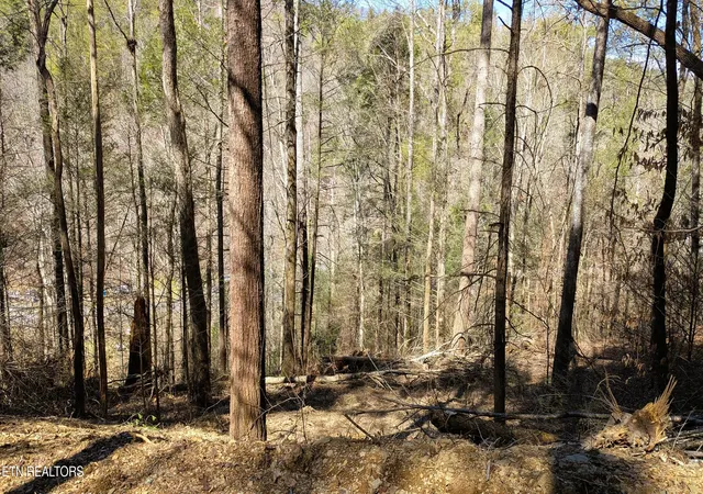 Photo 3 of Land for sale at Carrs Crk Rd, Townsend, TN 37882 | MLS# 1338777 | Listing updated on 2026-06-20