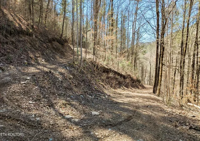 Photo 3 of Land for sale at Carrs Crk Rd, Townsend, TN 37882 | MLS# 1338777 | Listing updated on 2026-06-20