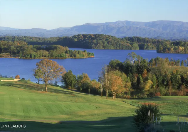 49th image of 129 Heron Ct, Vonore, TN 37885 | MLS# 1338781