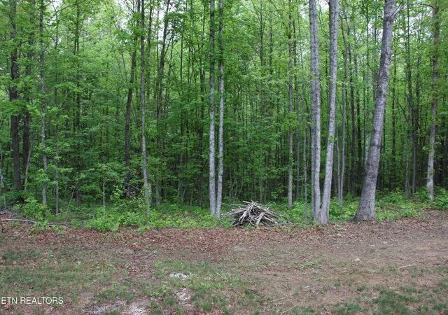 Homes for sale in Jamestown, TN | 154 Copley Cemetery Rd, Jamestown, TN 38556 | MLS# 1338788