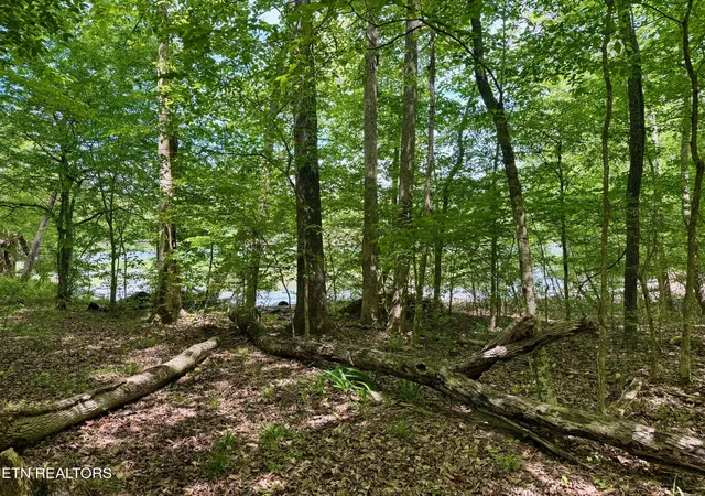 Photo 1 of Land for sale at Lot 2 Eagle Ridge Rd, Kingston, TN 37763 | MLS# 1338846 | Listing updated on 2026-09-10