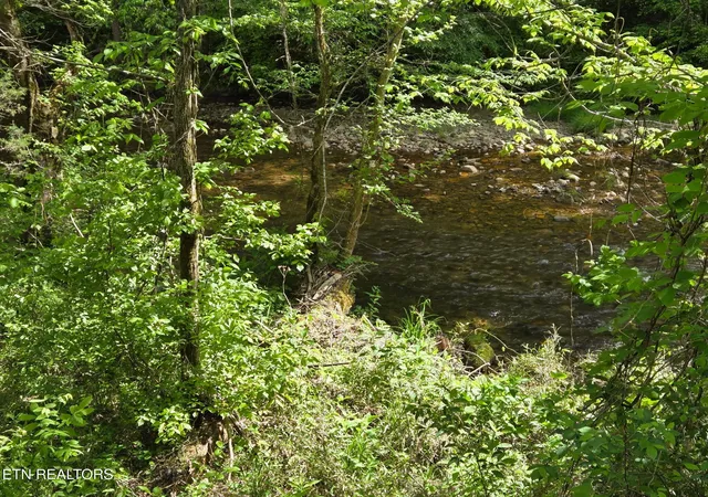 1st image of Old 15th Rd, Del Rio, TN 37727 | MLS# 1339630