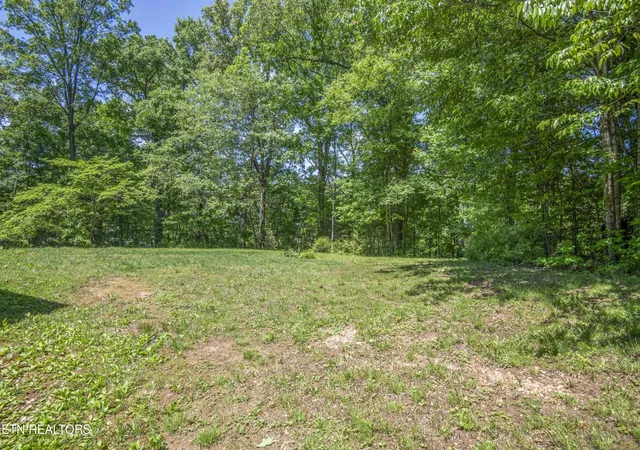 43rd image of 116 Stair Ln, Clinton, TN 37716 | MLS# 1339079