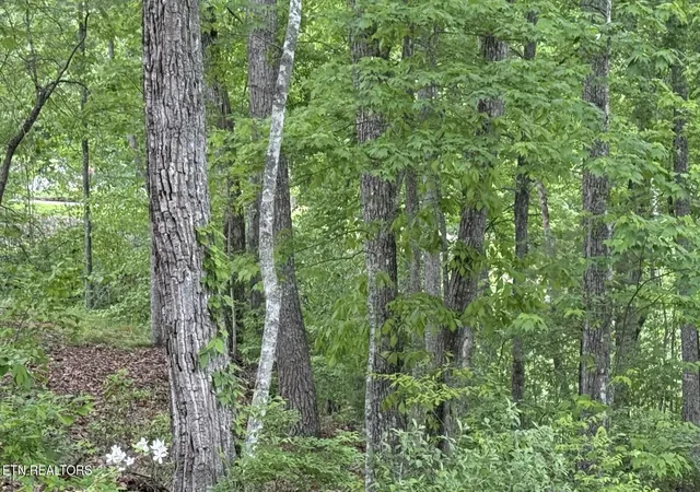 Photo 3 of Land for sale at 21 Claremont Cir, Crossville, TN 38558 | MLS# 1339305 | Listing updated on 2026-09-01