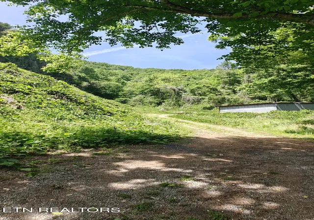 3rd image of 206 Caney Creek Rd, Pigeon Forge, TN 37863 | MLS# 1339500