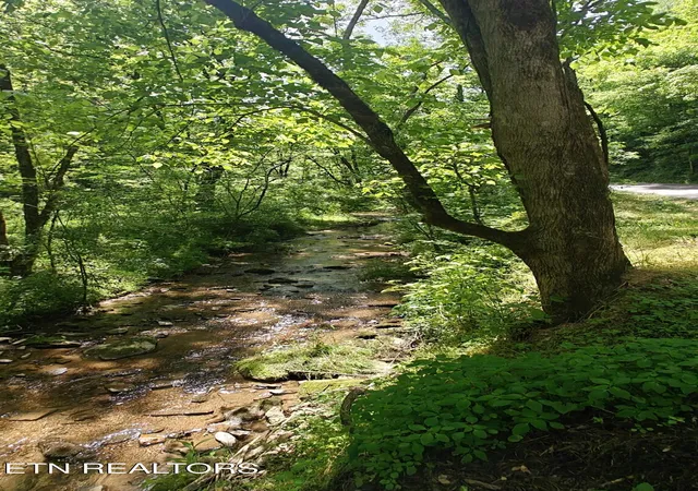 4th image of 206 Caney Creek Rd, Pigeon Forge, TN 37863 | MLS# 1339500