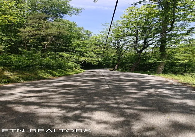 5th image of 206 Caney Creek Rd, Pigeon Forge, TN 37863 | MLS# 1339500
