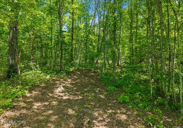 Photo 3 of Land for sale at 215 Citico Rd Lot 2, Vonore, TN 37885 | MLS# 1340047 | Listing updated on 2026-06-19