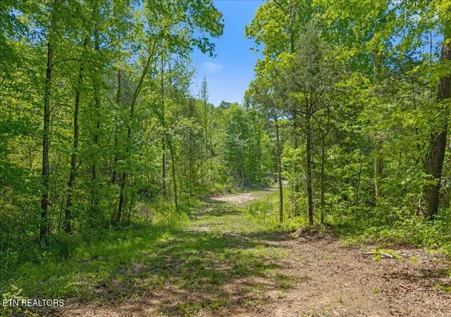 Photo 4 of Land for sale at 215 Citico Rd Lot 2, Vonore, TN 37885 | MLS# 1340047 | Listing updated on 2026-06-19