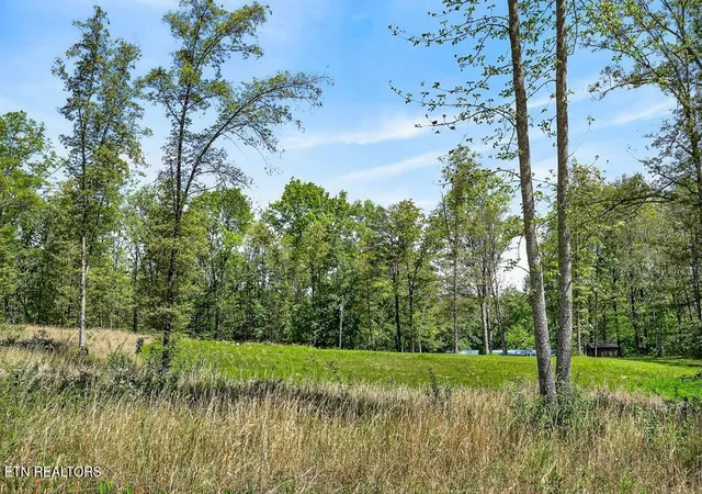56th image of 132 Treble Ln, Sparta, TN 38583 | MLS# 1339416