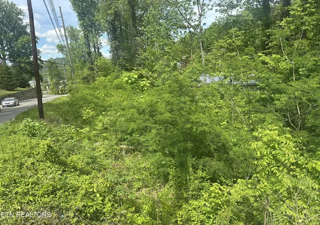 Photo 1 of Land for sale at 519 Cherokee Orchard Rd, Gatlinburg, TN 37738 | MLS# 1339267 | Listing updated on 2026-05-02
